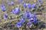 image07