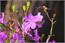image01
