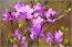 image03