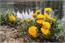 image04
