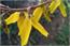 image05