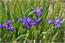 image09