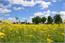 image25