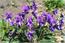 image03
