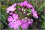 image04