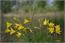 image05