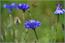 image09