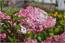 image20
