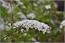 image23