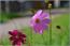 image04