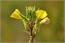 image05