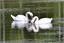 image07
