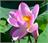 image02