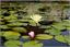 image02
