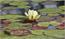 image23