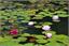 image06