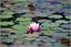 image08